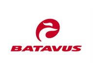 Firmenlogo Batavus